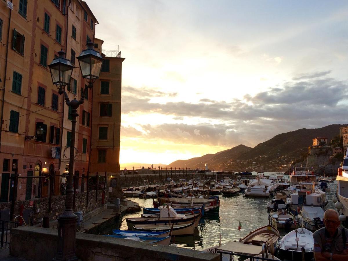 Sguardo Sul Porto Apartment Camogli